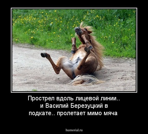 Прострел вдоль лицевой линии.. и  Василий Березуцкий в подкате.. пролетает мимо  мяча