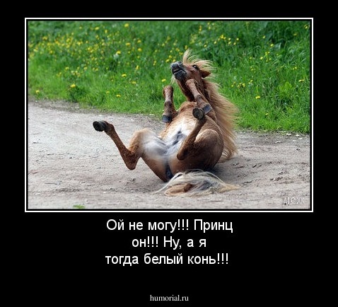 Ой не могу!!! Принц он!!! Ну, а я тогда белый конь!!!