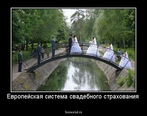Европейская система свадебного страхования