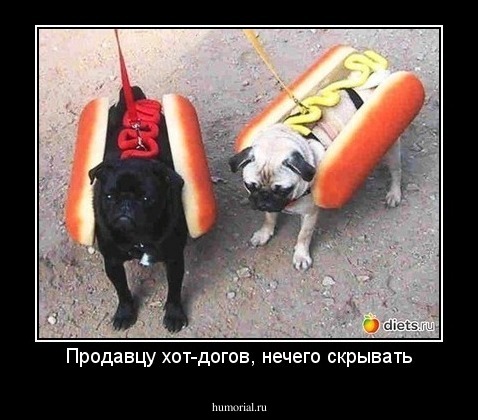 Продавцу хот-догов, нечего скрывать