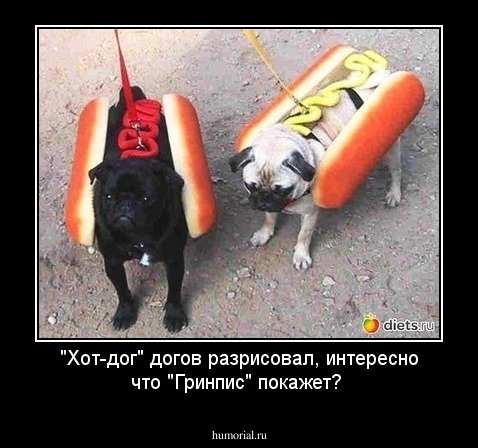 "Хот-дог" догов разрисовал, интересно что "Гринпис" покажет?