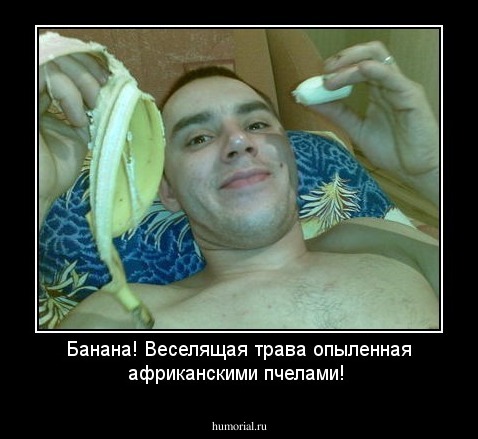 Банана! Веселящая трава опыленная африканскими пчелами!