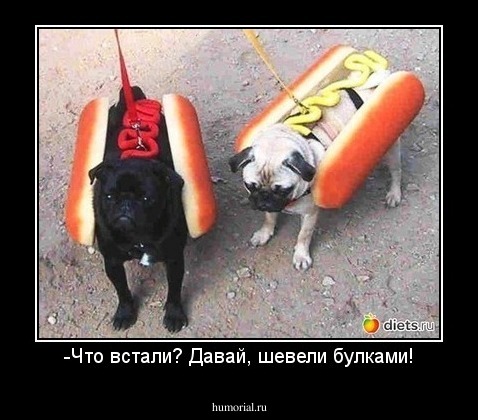 -Что встали? Давай, шевели булками!