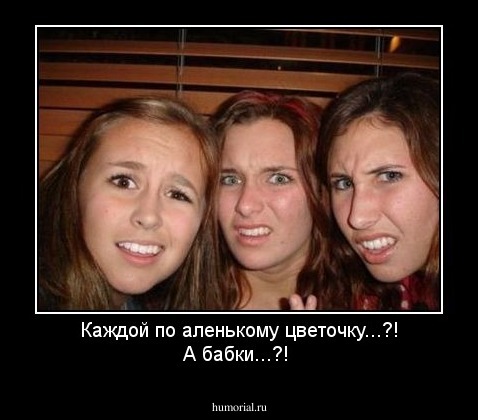 Каждой по аленькому цветочку...?! А бабки...?!