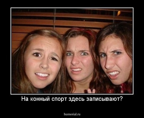 На конный спорт здесь записывают?