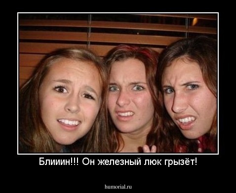 Блииин!!! Он железный люк грызёт!