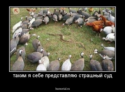 таким я себе представляю страшный суд