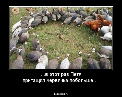 ...в этот раз Петя притащил червячка побольше...
