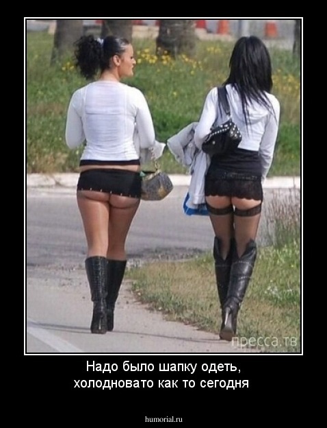 Надо было шапку одеть, холодновато как то сегодня