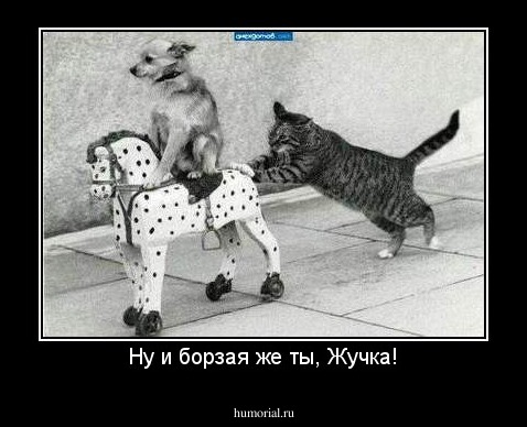 Ну и борзая же ты, Жучка!