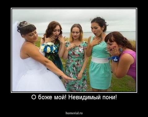О боже мой! Невидимый пони!