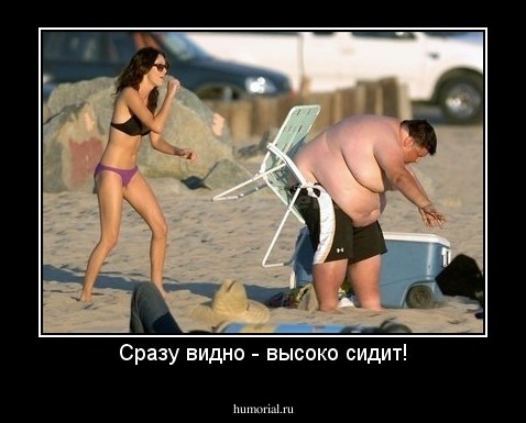 Сразу видно - высоко сидит!