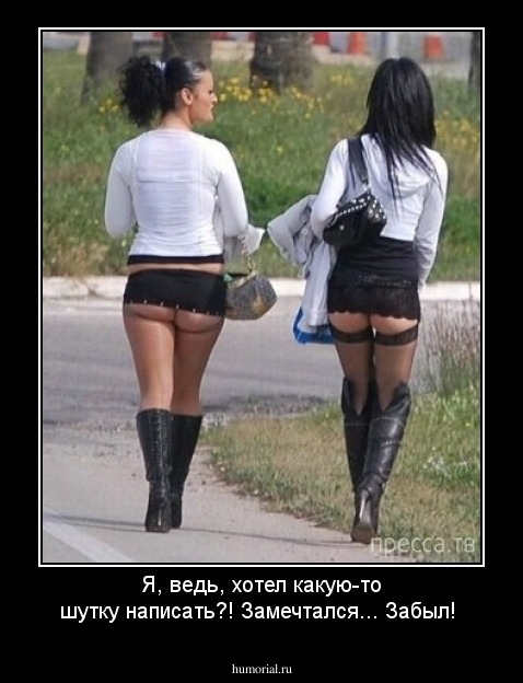 Я, ведь, хотел какую-то шутку написать?! Замечтался... Забыл!