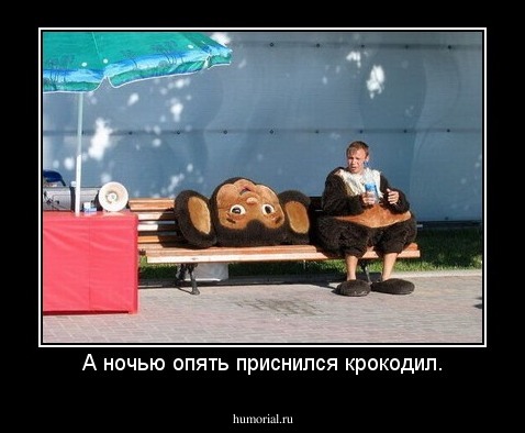 А ночью опять приснился крокодил.