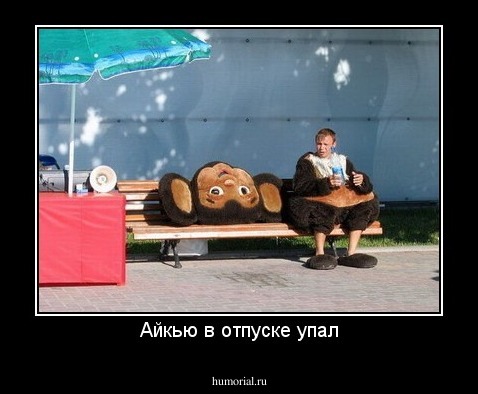 Айкью в отпуске упал