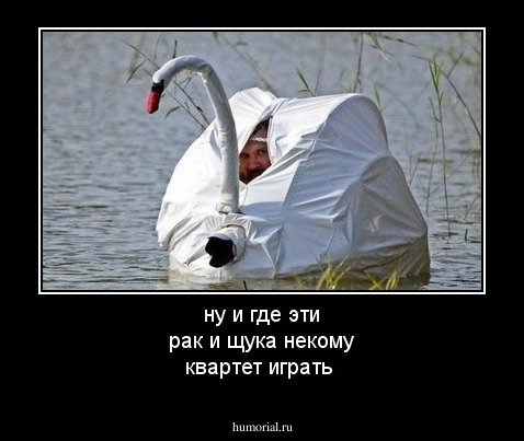 ну и где эти рак и щука некому квартет играть 