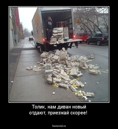 Толик, нам диван новый отдают, приезжай скорее!
