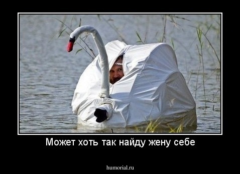 Может хоть так найду жену себе