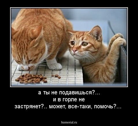 а ты не подавишься?... и в горле не застрянет?.. может, все-таки, помочь?...