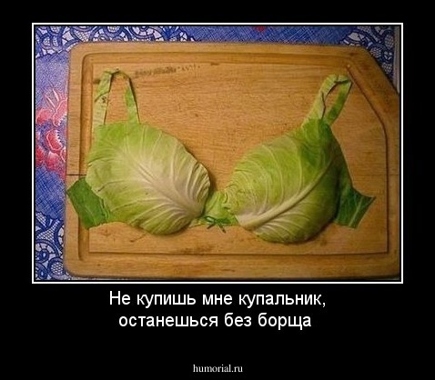 Не купишь мне  купальник, останешься без борща