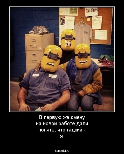 В первую же смену на новой работе дали понять, что гадкий - я