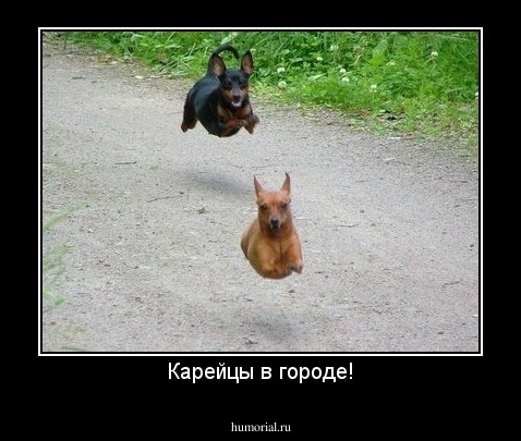 Карейцы в городе!