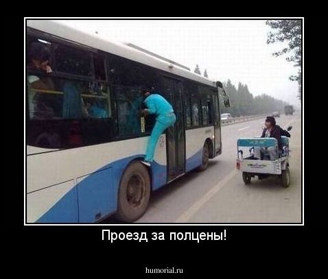 Проезд за полцены!