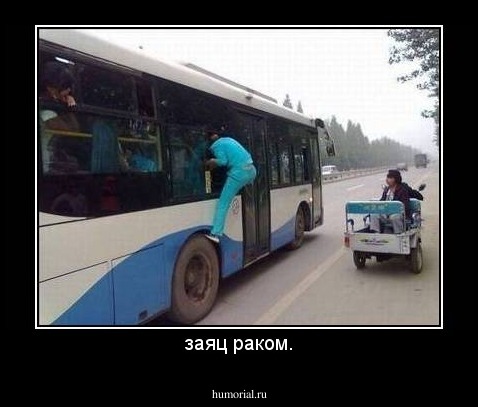заяц раком.