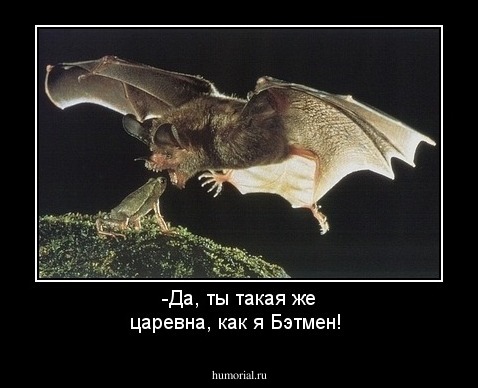 -Да, ты такая же царевна, как я Бэтмен!