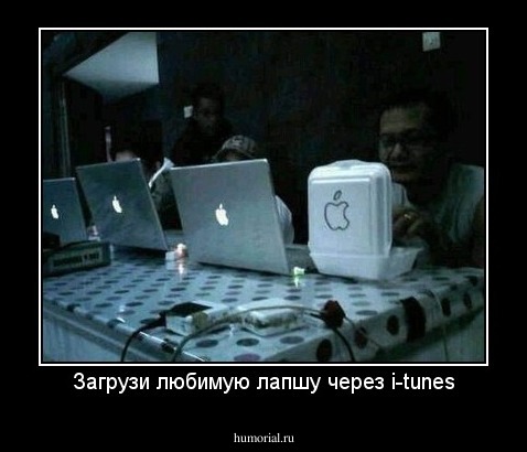 Загрузи любимую лапшу через i-tunes