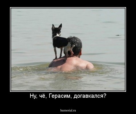 Ну, чё, Герасим, догавкался?