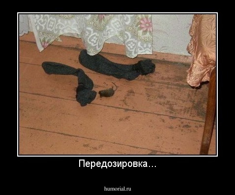 Передозировка...