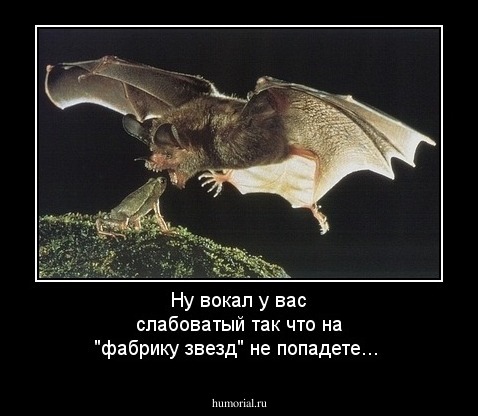 Ну вокал у вас слабоватый так что на "фабрику звезд" не попадете...