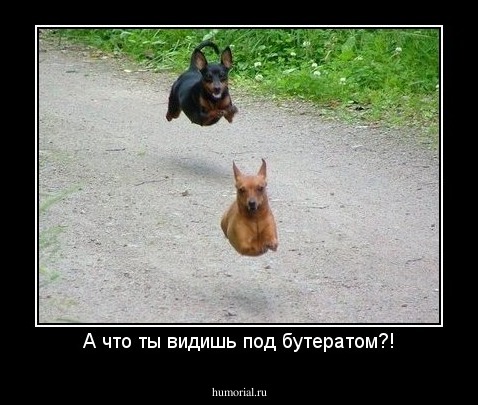 А что ты видишь под бутератом?!