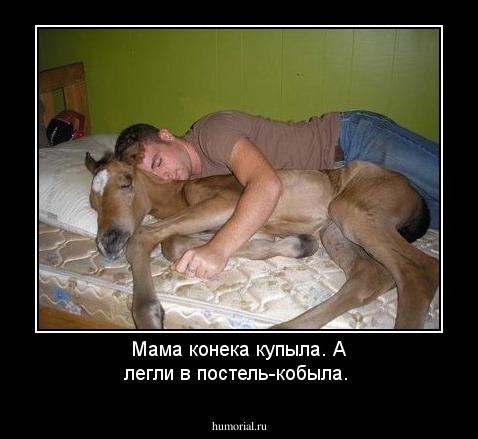 Мама конека купыла.
А легли в постель-кобыла.