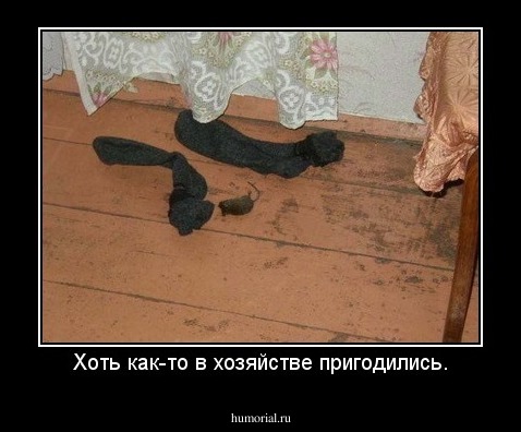 Хоть как-то в хозяйстве пригодились.