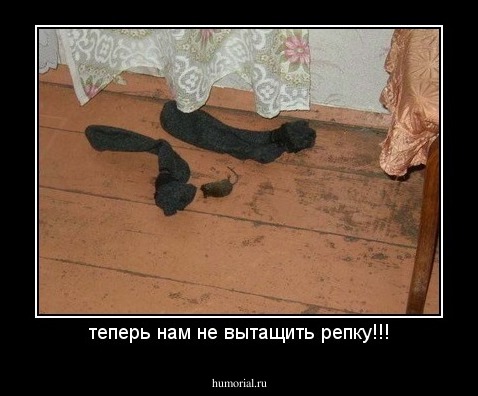 теперь нам не вытащить репку!!!