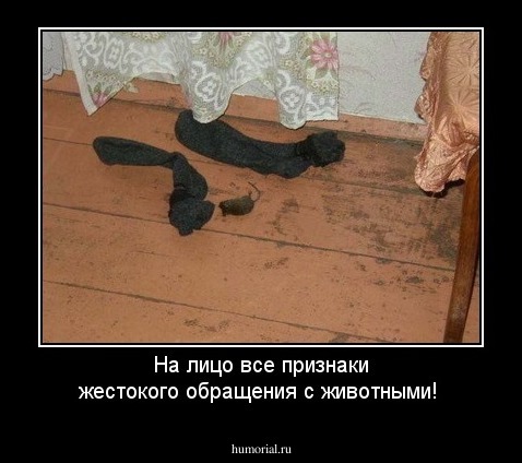 На лицо все признаки жестокого обращения с животными!