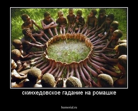 скинхедовское гадание на ромашке