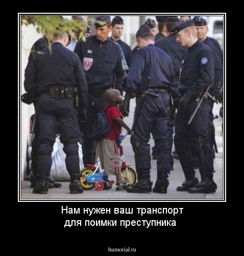 Нам нужен ваш транспорт для поимки преступника