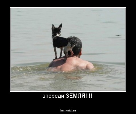 впереди ЗЕМЛЯ!!!!!