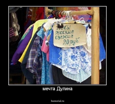 мечта Дулина
