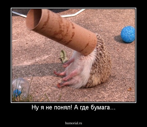 Ну я не понял! А где бумага...