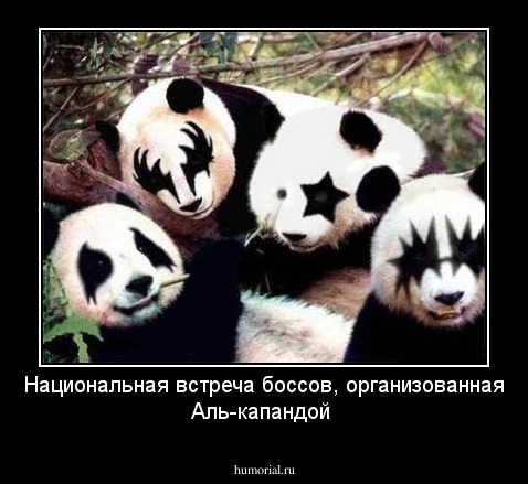  Национальная встреча боссов, организованная Аль-капандой