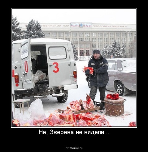 Не, Зверева не видели...