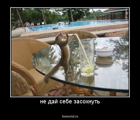 не дай себе засохнуть
