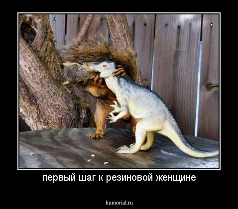 первый шаг к резиновой женщине
