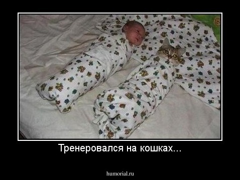 Тренеровался на кошках...