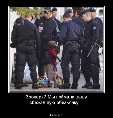 Зоопарк? Мы поймали вашу сбежавшую обезьянку...
