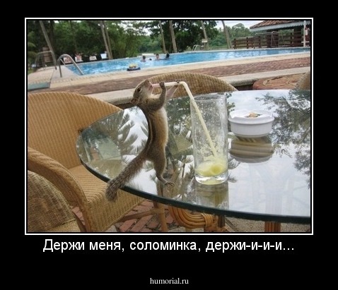 Держи меня, соломинка, держи-и-и-и...